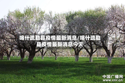 喀什疏勒县疫情最新消息/喀什疏勒县疫情最新消息今天-第2张图片