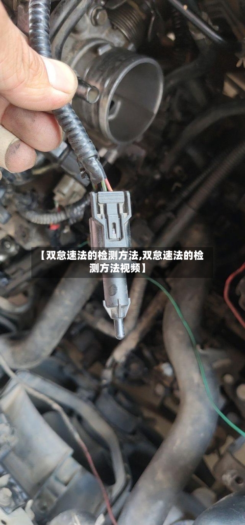 【双怠速法的检测方法,双怠速法的检测方法视频】-第2张图片