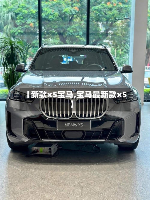 【新款x5宝马,宝马最新款x5】-第2张图片