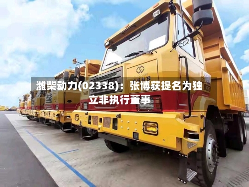 潍柴动力(02338):张博获提名为独立非执行董事-第2张图片