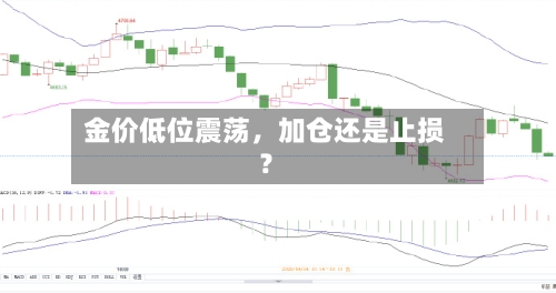 金价低位震荡，加仓还是止损？-第2张图片