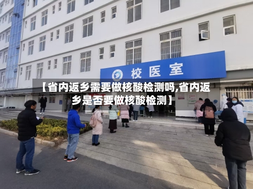 【省内返乡需要做核酸检测吗,省内返乡是否要做核酸检测】-第3张图片