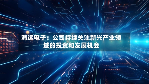 鸿远电子:公司持续关注新兴产业领域的投资和发展机会